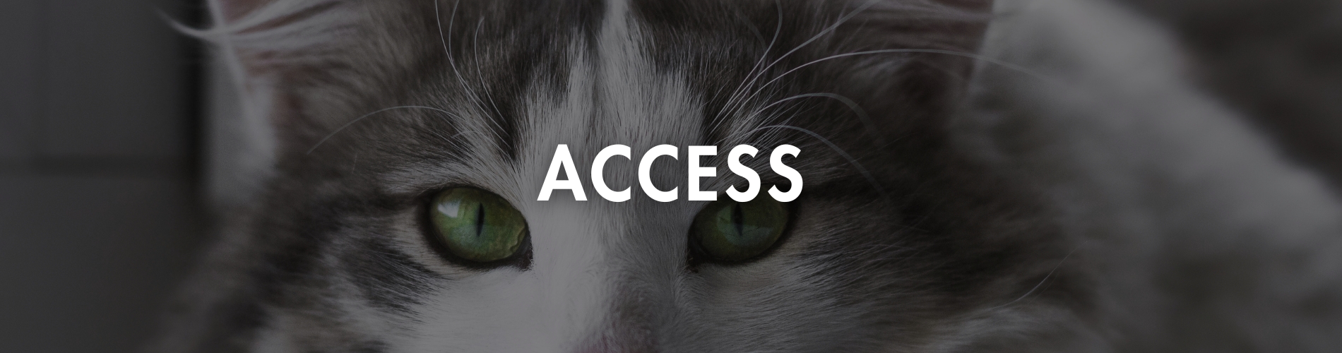 ACCESS