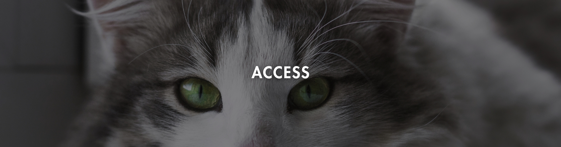 ACCESS